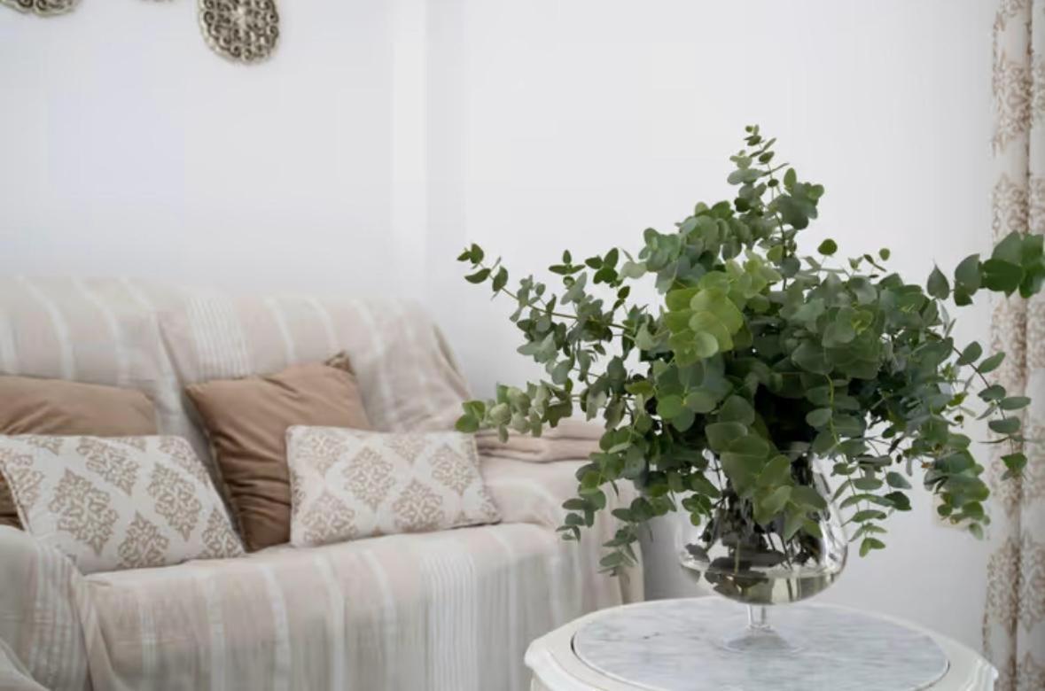 Apartamento Cataleya Ronda Ngoại thất bức ảnh